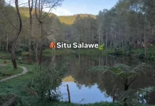 Situ Salawe, Pesona Danau Tersembunyi di Garut