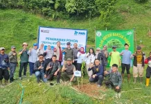 PNM Tanam 29.000 Pohon, Dorong Pelestarian Lingkungan dan Pemberdayaan Komunitas