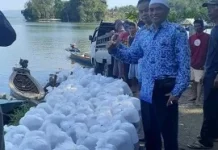 BKN dan Pemkab Sumedang Hijaukan Jatigede lewat Aksi Lingkungan