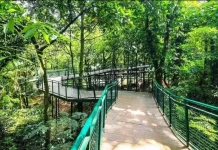 Pilihan Wisata Gratis di Bandung, Cocok untuk Healing Hemat