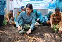 Ketua TP PKK Subang Luncurkan Gerakan Tanam Cabai