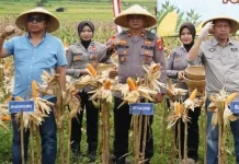 Kawal Produktivitas Pertanian, Polres Tasikmalaya: Dukung Ketahanan Pangan