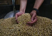 Walikota Bandung Soroti Kenaikan Harga Kedelai