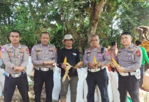 Dukung Swasembada Pangan, Polres Subang Panen Jagung Seluas 1 Hektar