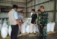 Babinsa Kawal Serap Gabah Petani, Pastikan Harga Gabah Sesuai HET Pemerintah