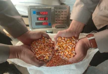 Katahanan Pangan, Polisi Bantu Petani Distribusikan Hasil Panen Jagung