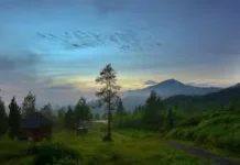 Tempat Wisata Alam dan Glamping Favorit di Subang