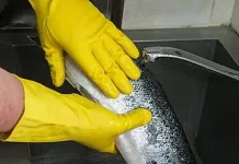 Menghilangkan Bau Amis pada Ikan dengan Bahan Alami