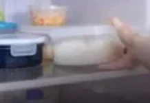 Cara Menyimpan Nasi agar Tidak Cepat Basi