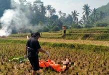 Polisi Selidiki Temuan Mayat Laki-Laki tanpa Identitas