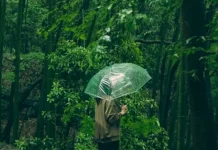 Hutan,Menjaga Paru paru dan Keanekaragaman Hayati Bumi