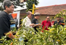 Hadapi Kemarau,DKPP Kota Bandung Siapkan Pompa Air dan Benih Tahan Kekeringan