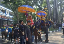Kuda Renggong, Sejarah hingga Nilai Budaya