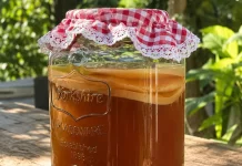 Mengenal Kombucha, Minuman sehat dari Bahan Teh