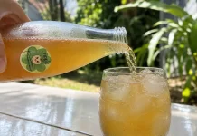 Generasi Muda Memilih Kombucha untuk Bisnis Minuman Sehat