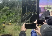 LK Taman Satwa Cikembulan Lepas Liarkan Dua Ekor Elang Brontok ke Alam Bebas