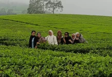 Perkebunan Teh Rancabali Wisata Alam yang Indah dan Sejuk