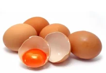 Telur Omega vs Telur Biasa,Benarkah Lebih Sehat? Ini Beragam Manfaatnya