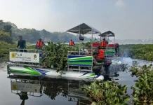 Kolaborasi Besar Bersihkan 120 Hektare Eceng Gondok Waduk Saguling