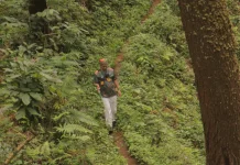 Manfaat Mengikuti Aktivitas Silent Hiking