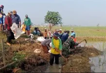 Babinsa Koramil Pabuaran Turun Langsung Bantu Perbaikan Tanggul yang Jebol