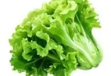 Manfaat Daun Selada untuk Kesehatan Tubuh