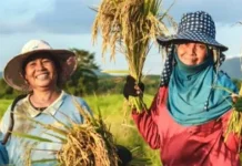 BPS Jabar: Musim Kemarau 2026,Kesejahteraan Petani Menguat