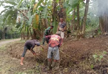 Peran Babinsa Koramil Subang Jadi Kunci saat Kerja Bakti Bersihkan Jalan