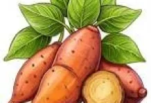 Manfaat Ubi Jalar untuk Kesehatan Tubuh