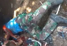 Polisi Pastikan Berita Macan Terkam Tiga Orang di Garut Hoax !!