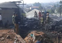 Ribuan Ekor Ayam Siap Panen di Samarang Garut Ludes Terbakar