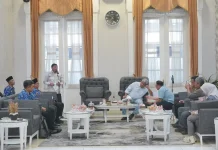 Tehnologi Pertanian Tingkatkan Produktivitas Komoditi Kentang