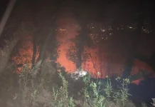 Cuaca Panas, Hektaran Lahan di Gunung Putri Garut Terbakar