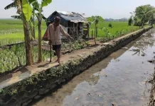 Bupati: Antisipasi Kekeringan, Pelayanan Dasar Warga Jadi Prioritas
