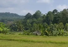 Harmoni Adat dan Alam di Kampung Kuta Ciamis