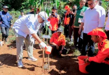 Pemkot Bandung Percepat Penghijauan Lewat Program Rindu Rindang