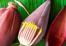 Sensasi Rasa dan Manfaat dari Jantung Pisang