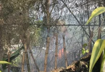 Diduga akibat Puntung Rokok, Kebakaran Lahan di Cibeber Cimahi