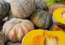 Cara Mengolah Labu Kuning Menjadi Kolak yang Manis dan Legit