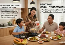 Ini Penjelasan Penggunaan MSG bagi Anak