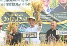 Bupati Cianjur: Pertanian Organik, Investasi Masa Depan
