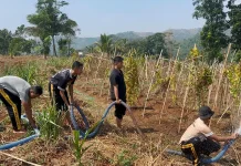 Cegah Gagal Panen, Polda Jabar Bangun Sumur Bor dan Distribusikan Air