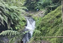 Curug Golosor : Alternatif Wisata Alam yang Sejuk dan Asri