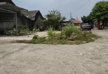 Kemarau Panjang Picu Krisis Air Bersih di Subang, Warga Minta Pemerintah Menyuplai