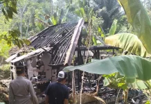 Diduga Korsleting Listrik Rumah Panggung Ludes Terbakar