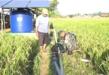Dukung Swasembada Pangan dan Antisipasi Kemarau, Kodim Subang Bagun 4 Sunur Bor