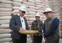 BULOG Ajak Mitra Penggilingan Tingkatkan Mutu Beras dan Ketahanan Pangan
