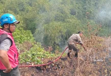 Tagana bersama Damkar Tasikmalaya Padamkan Kebakaran di Eks TPA Mangunreja