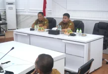 TKD Kabupaten Subang Dipotong Rp 350 Miliar, APBD Perubahan, Fokus Pilkades dan PBI