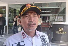 Satpol PP Klaim Subkontraktor Akui Bertanggung Jawab atas Penebangan Pohon